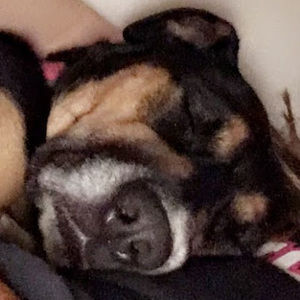 Meet your Posher, Emmylou